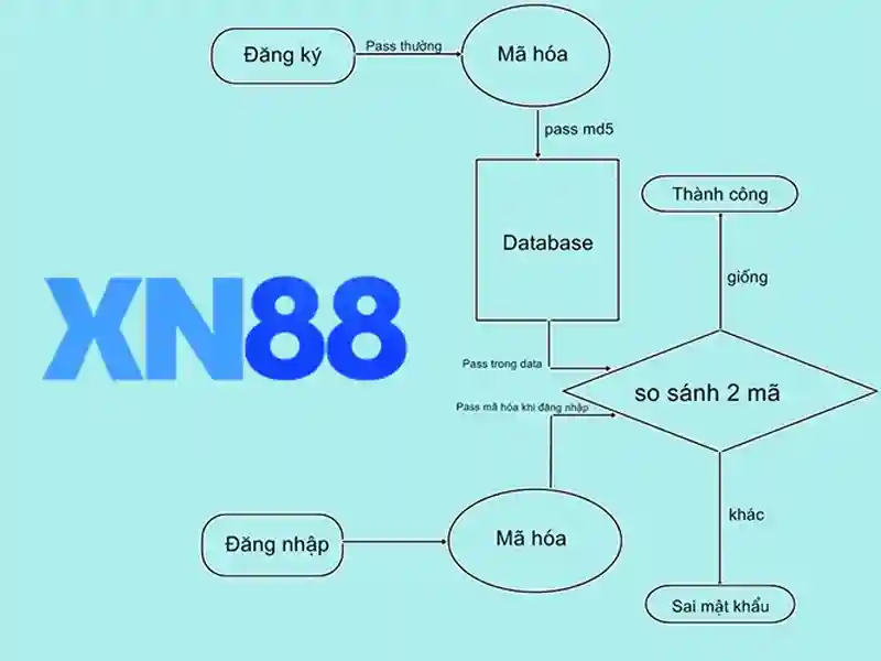 xn88-official – Định vị thương hiệu và hành trình dẫn đầu ngành