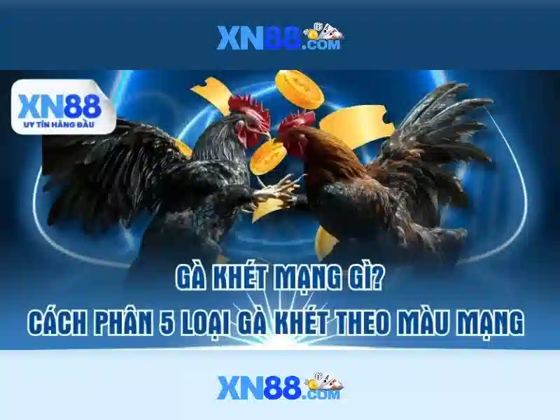 xn88 - Nền tảng kỹ thuật số giả tưởng