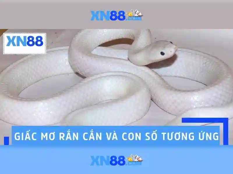 An toàn và bảo mật\n<h4>Trải nghiệm người dùng</h4>\n<p style=