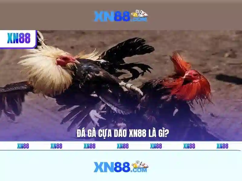 Khám phá xn88: Tổng quan và những điều cần biết