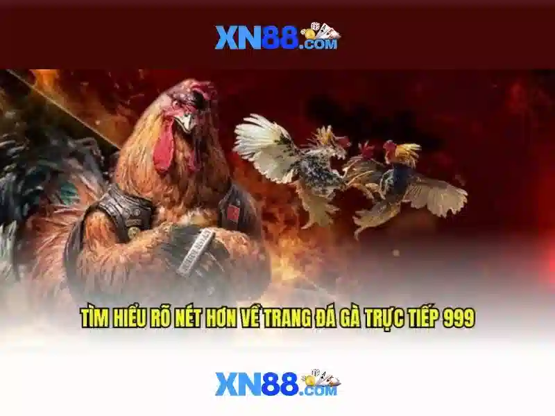 Các đặc điểm nổi bật của xn88
