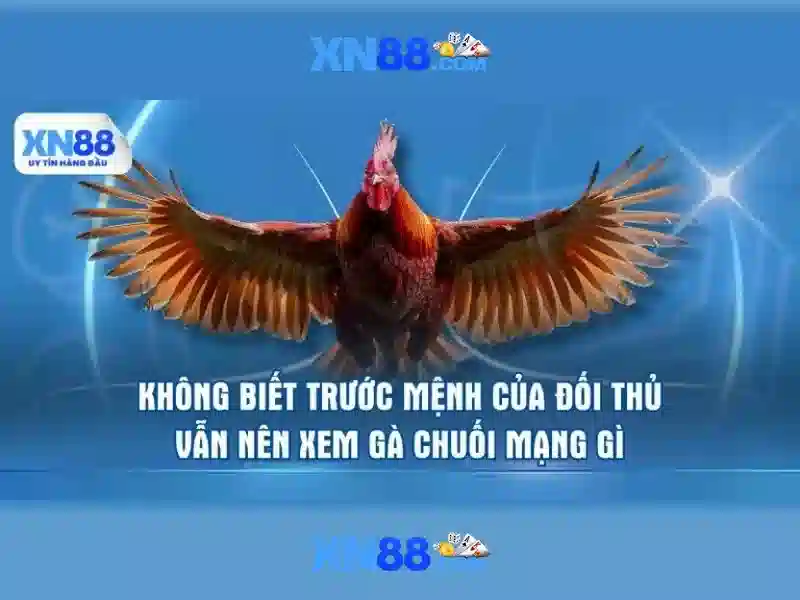 XN88 là gì? Tổng quan về nền tảng và tiềm năng