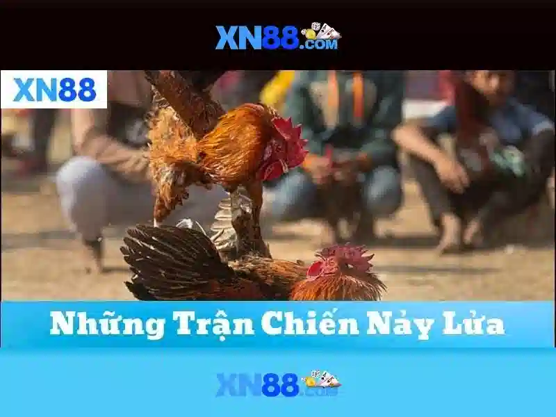 xn88 có uy tín không – Đánh giá và trải nghiệm