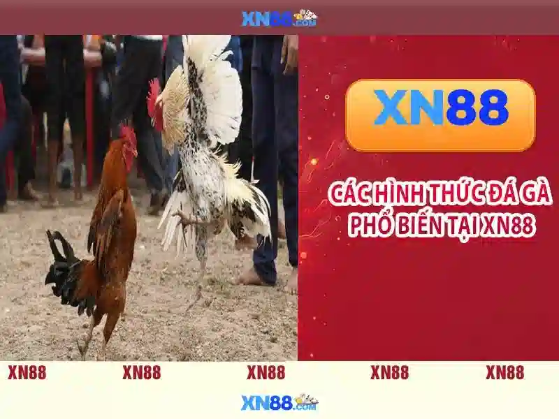 An toàn và bảo mật