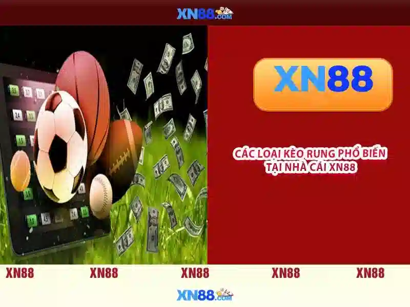 Giới thiệu về xn88