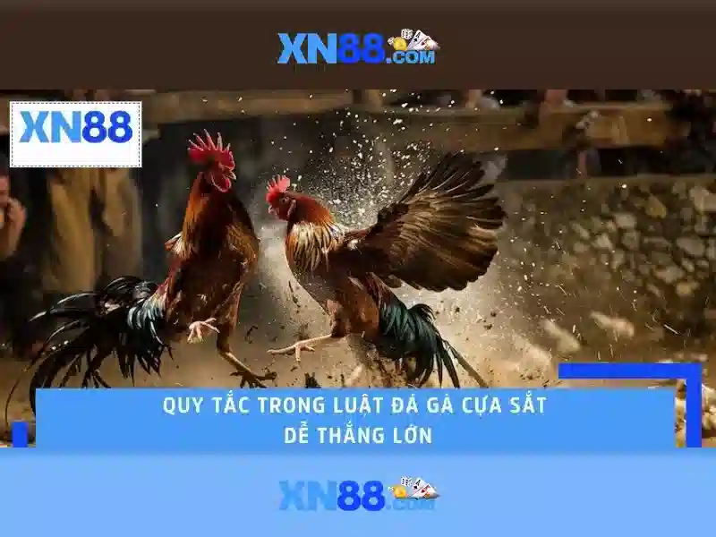 Lịch sử và nền tảng