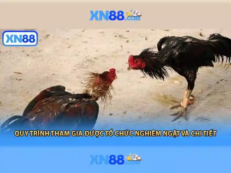 Giới thiệu tổng quan