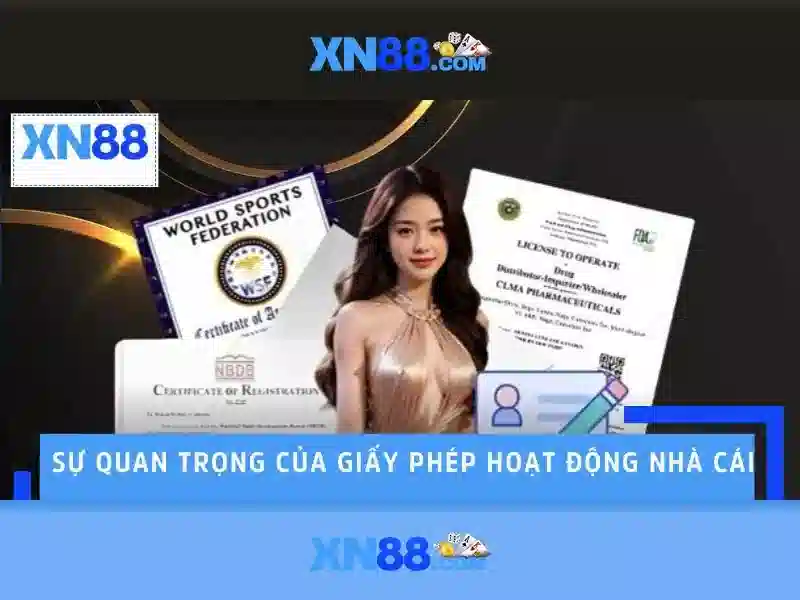 An toàn và trách nhiệm<h>Kết luận và mẹo trải nghiệm</h><p style=