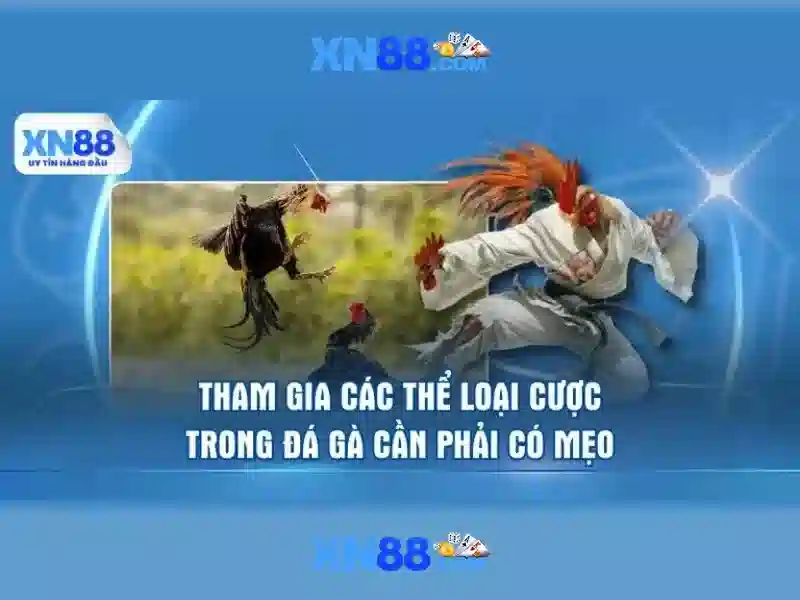 Cách hoạt động của xn88