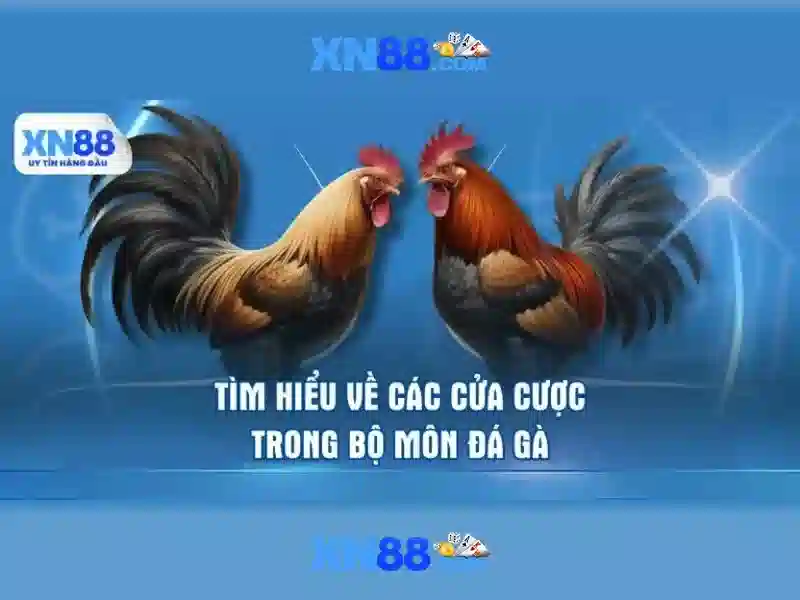 Tổng quan về xn88 và những điều bạn cần biết