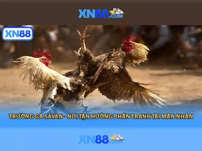 Giới thiệu về xn88\n<h>Các trò chơi và chức năng</h>\n<p style=