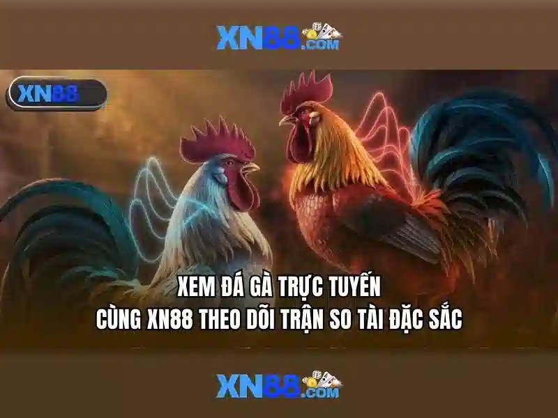 Xn88: Nền tảng trò chơi trực tuyến đáng tin cậy