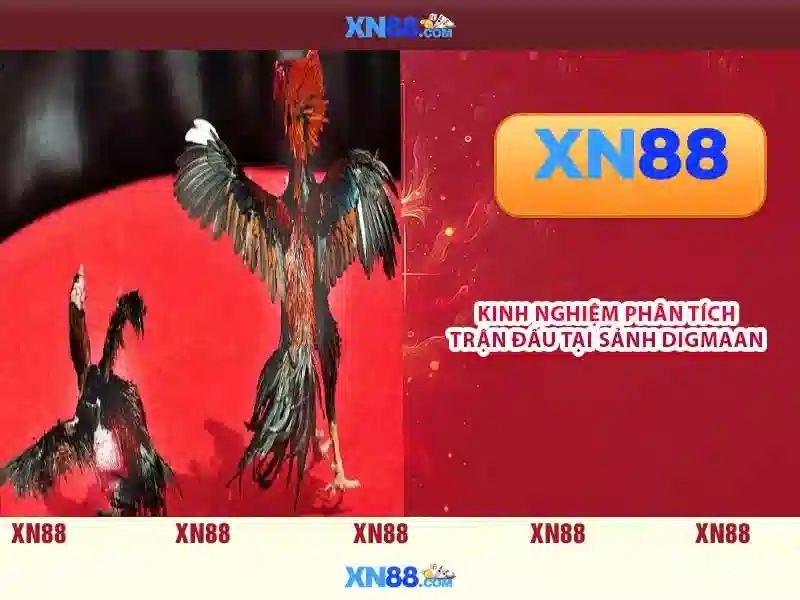 xn88: Khai phá nền tảng cá cược trực tuyến an toàn