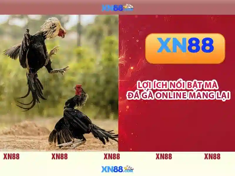 xn88 c: Trải nghiệm đột phá và định hình xn88 đăng nhập