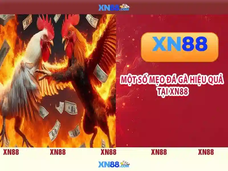 xn88: Nền tảng chơi trực tuyến và đánh giá tổng quan