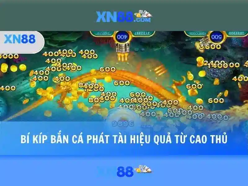 xn88 casino - Trải nghiệm và đánh giá đáng tin cậy
