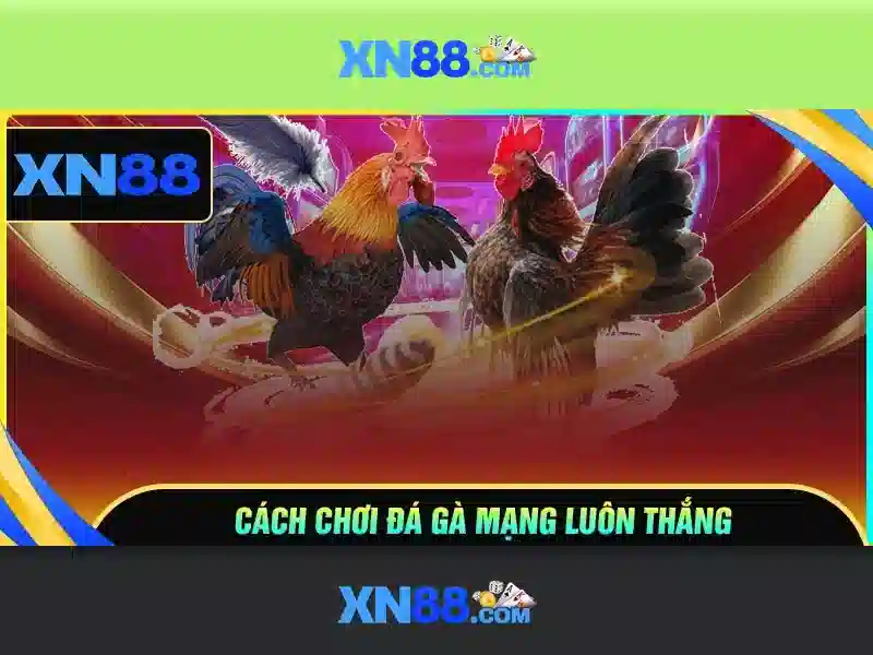 xn88 sa.com – Tổng quan chủ đề và giá trị cốt lõi
