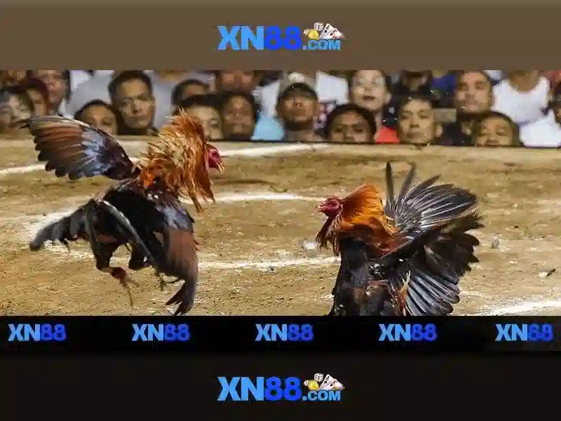 xn88 - Kết nối giải trí và cược trực tuyến