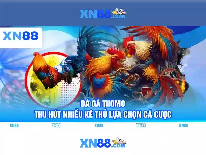 Xn88: Nền tảng đổi mới cho công nghệ và cộng đồng