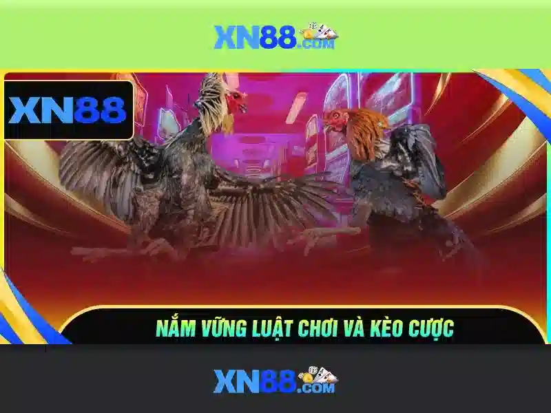 An toàn và bảo mật