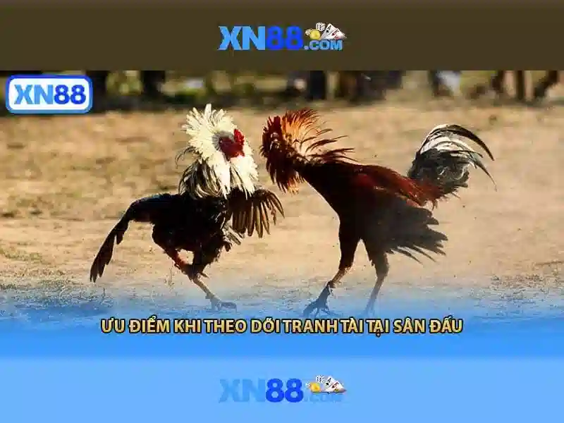 Chính sách và an toàn khi chơi\n\n<h>Kết luận và lời khuyên cho người mới</h>\n<p style=
