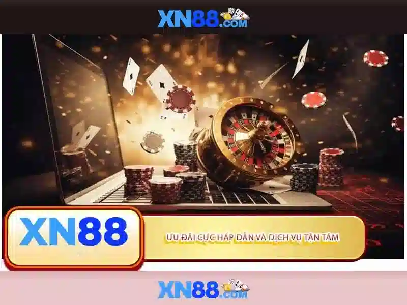 Trải nghiệm người dùng và sự phát triển