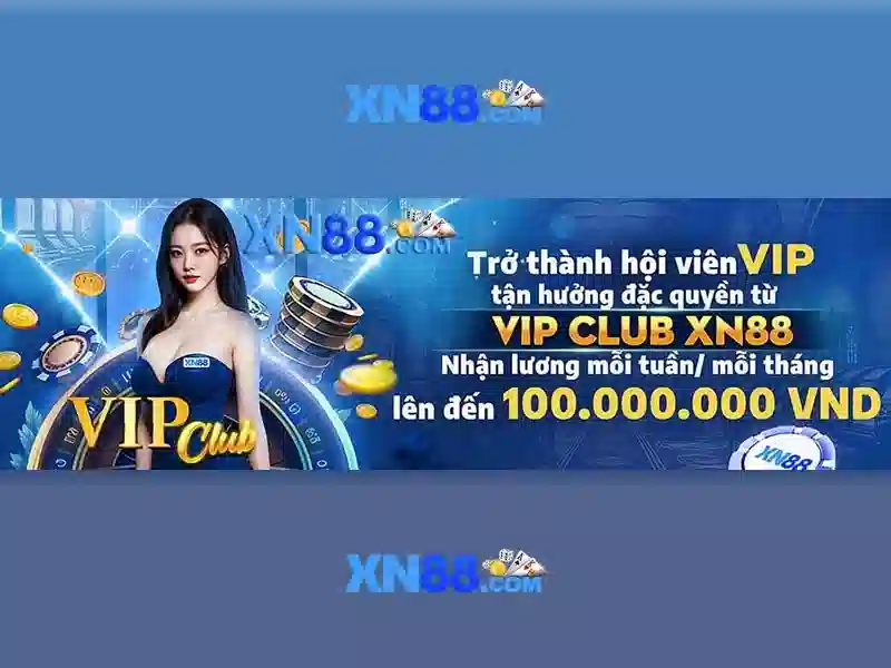 Đánh giá từ người dùng và lưu ý pháp lý