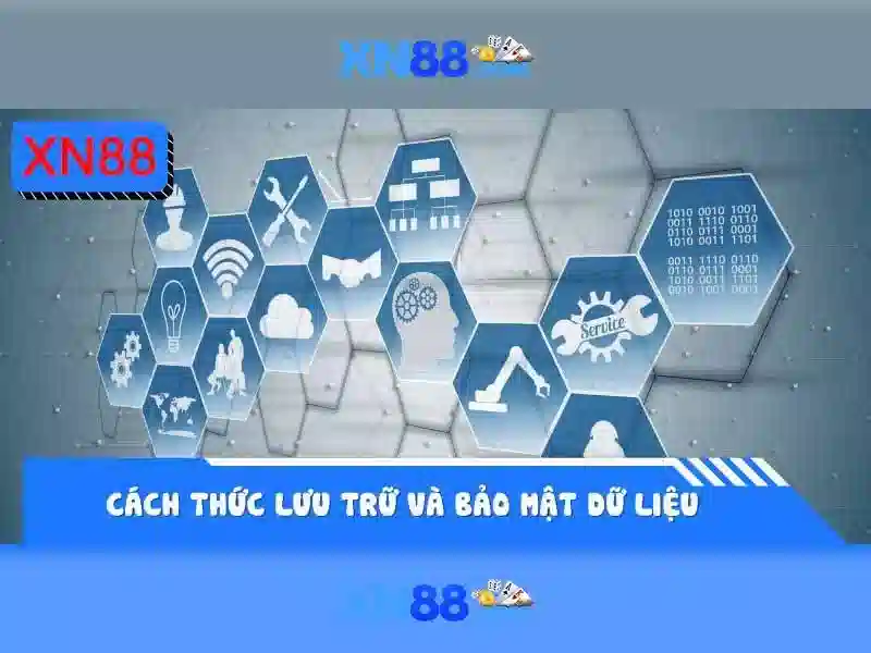 Nền tảng và sản phẩm