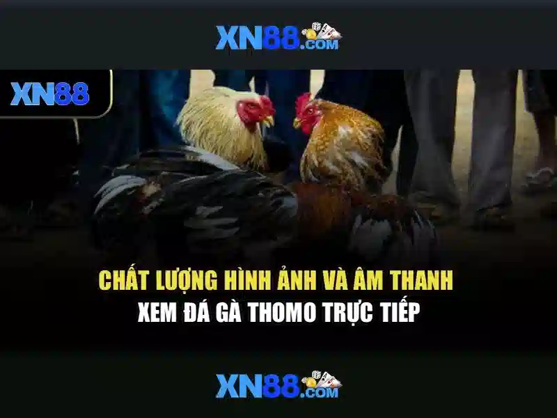 Khám phá xn88: Nền tảng trò chơi trực tuyến và cộng đồng người chơi