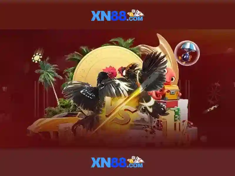 Lý do được chọn xn88 cho người chơi tại Việt Nam