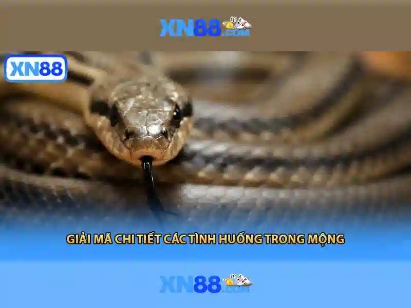 Lưu ý an toàn, pháp lý và trách nhiệm khi tham gia xn88