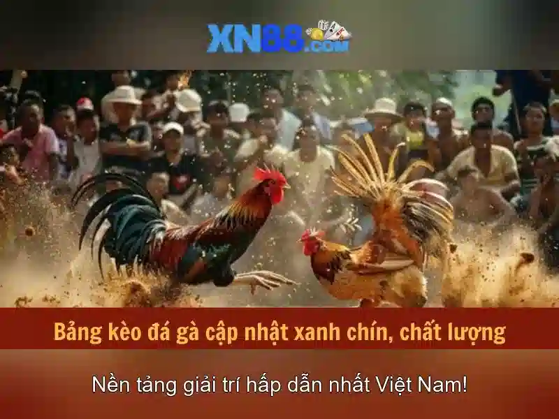Tính năng và công cụ của xn88