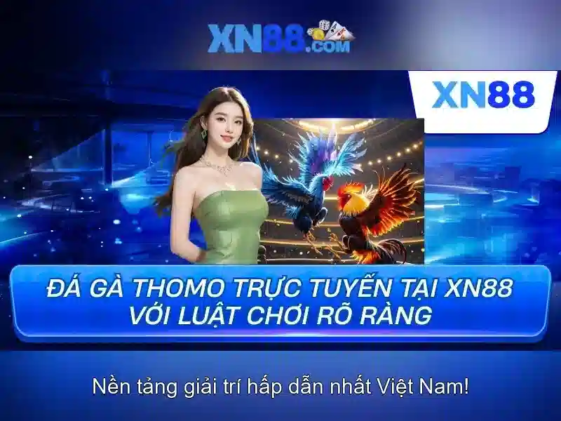 Dịch vụ và sản phẩm\n<h>Trải nghiệm người dùng và cộng đồng</h><p style=