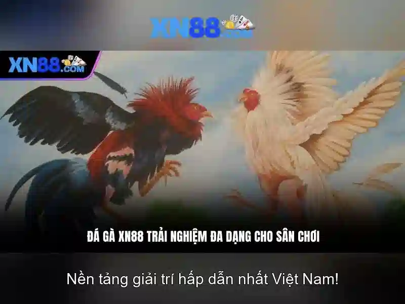 Các trò chơi phổ biến tại xn88