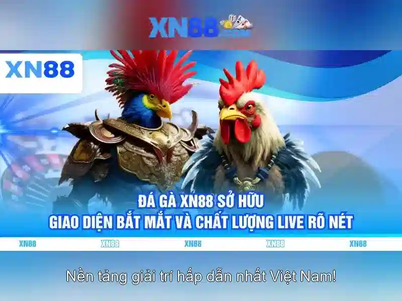 Giới thiệu về xn88