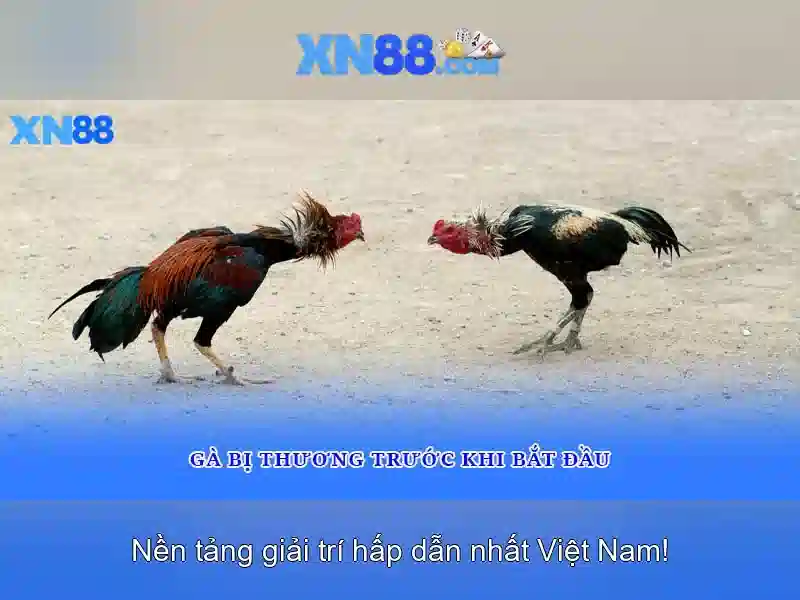Xn88 và thế giới cược trực tuyến