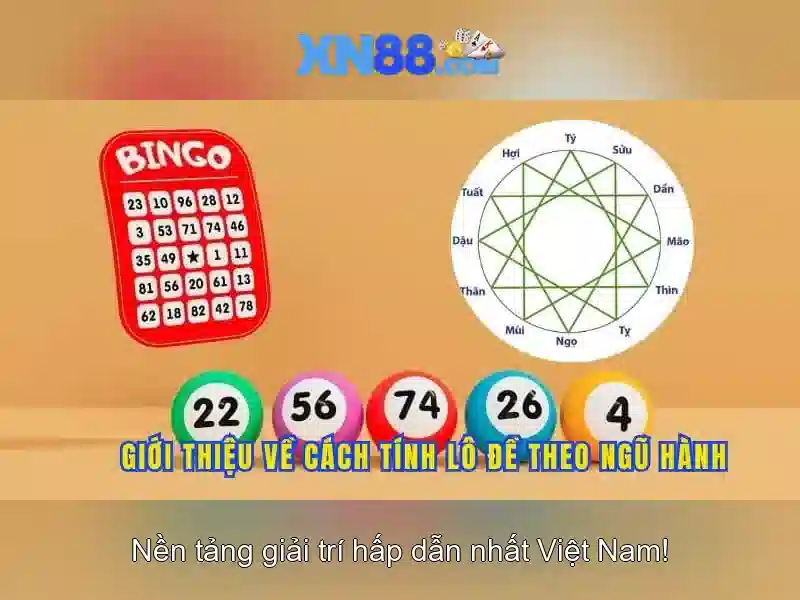 xn88: Giới thiệu và những điều cơ bản