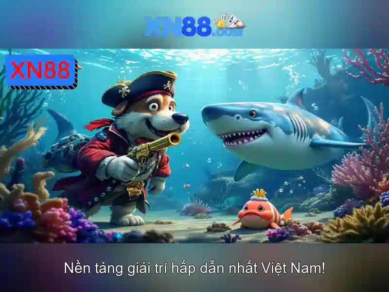 Rủi ro và lưu ý