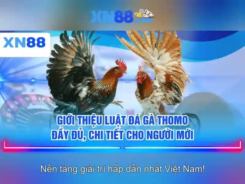 Trò chơi và trải nghiệm người dùng\n<h>An toàn và tuân thủ</h>\n<p style=