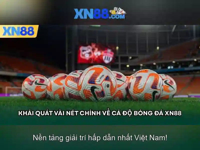 Cổng thông tin và dịch vụ