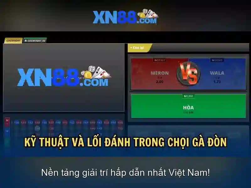 XN88: Tổng quan về nền tảng cược và giải trí trực tuyến