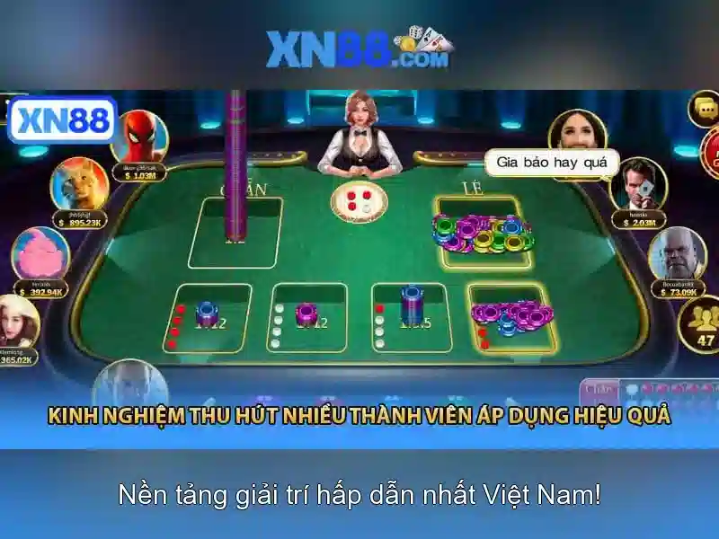 Bảo mật và thanh toán