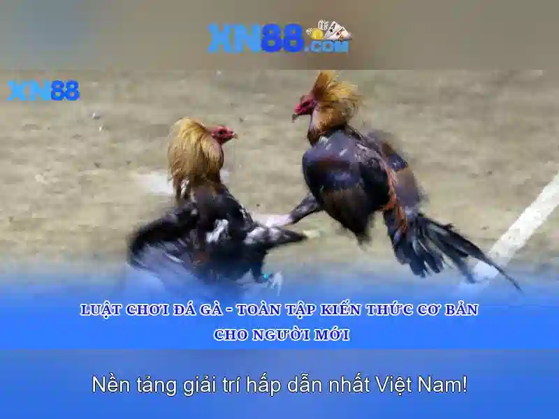 Xn88 - Nền tảng giải trí trực tuyến và đánh giá tổng quan