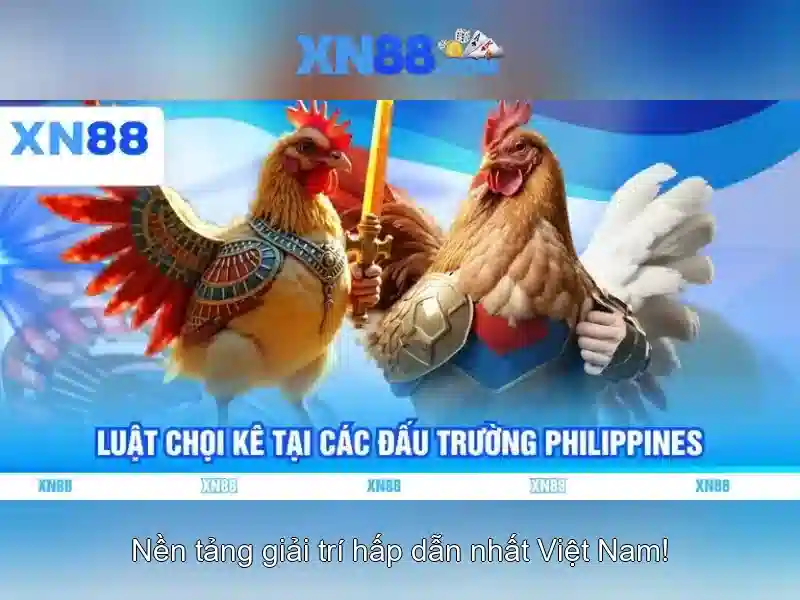 Tính năng nổi bật\n<p style=