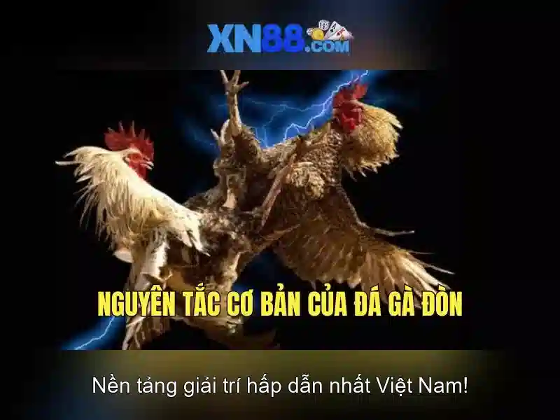 Các sản phẩm và dịch vụ nổi bật\n<p style=