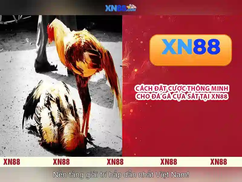 xn88: Tổng quan và đánh giá về nền tảng trò chơi trực tuyến