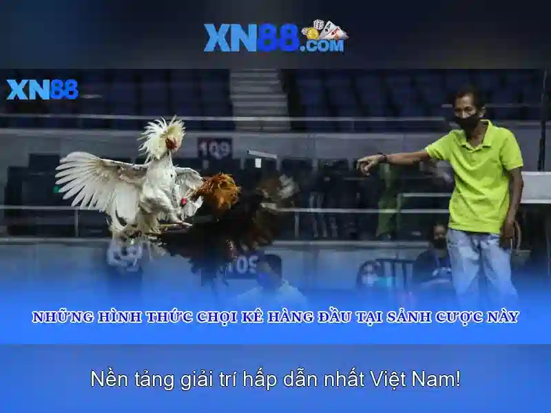xn88: Tổng quan và hướng dẫn cho người chơi Việt