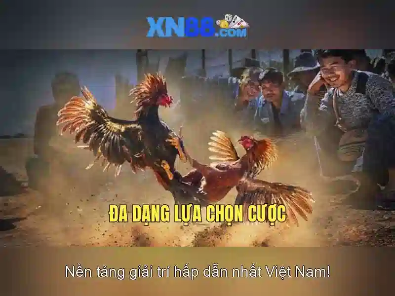 XN88 - Nền tảng giải trí trực tuyến phổ biến