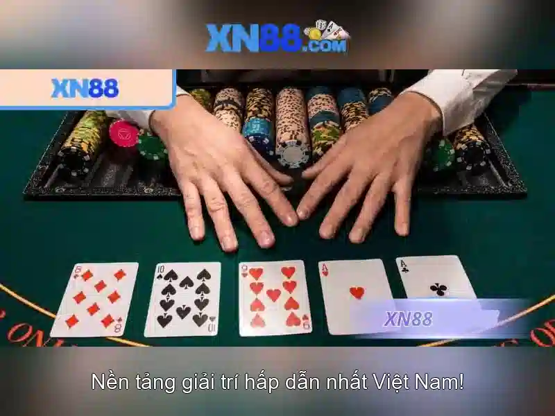 Trải nghiệm người dùng và hỗ trợ\n<h2 style=