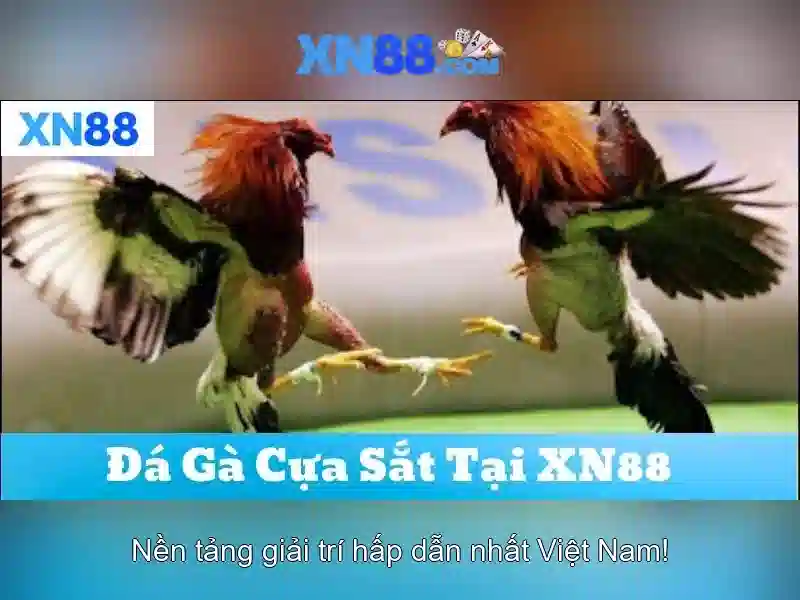 Giao diện người dùng và trải nghiệm di động